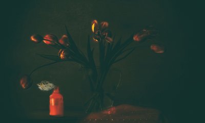 Dark Moody Tulips by Delphine Devos