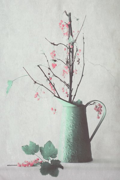 Delicate Berry Still Life by Delphine Devos