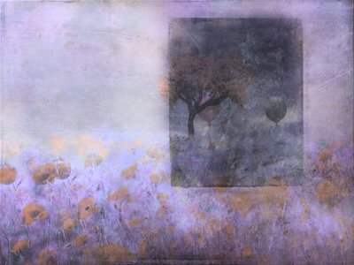 Dreamy Poppy Field Balloons by Delphine Devos