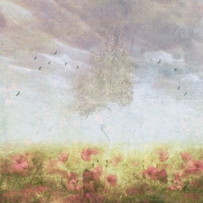 Dreamy Poppy Field Tree by Delphine Devos
