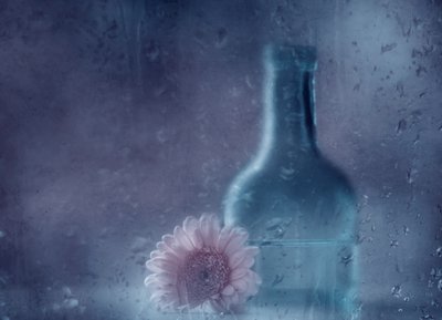 Dreamy Rainy Gerbera by Delphine Devos