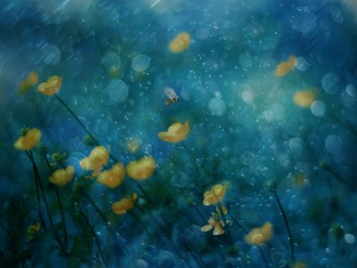 Dreamy Yellow Flowers by Delphine Devos