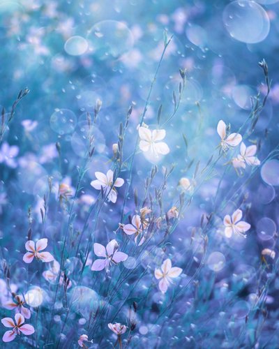 Ethereal Blue Blooms by Delphine Devos