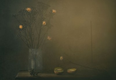Ethereal Botanical Still Life by Delphine Devos