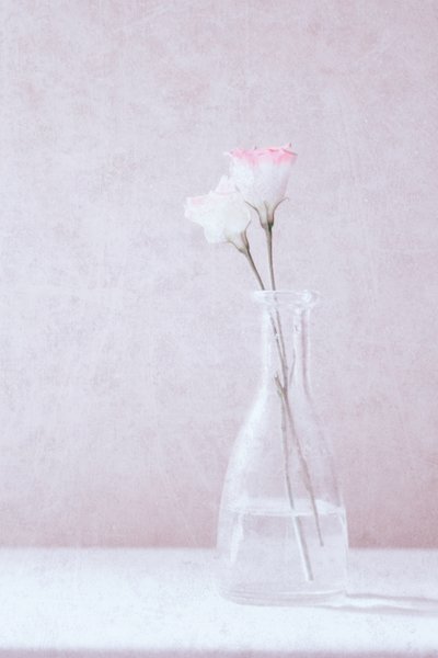 Flowers in Love by Delphine Devos