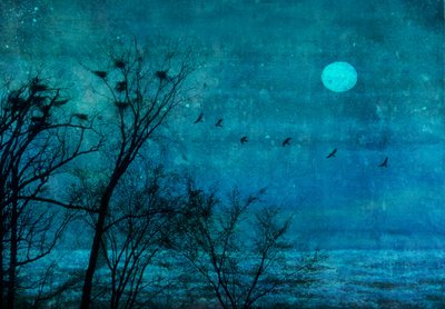 Moonlit Winter Roost by Delphine Devos