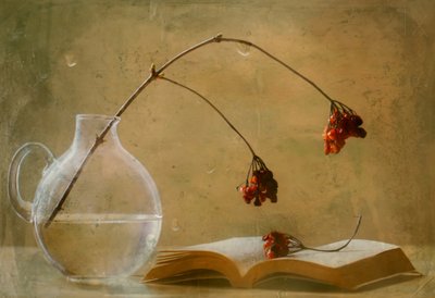 Quiet Autumn Still Life by Delphine Devos