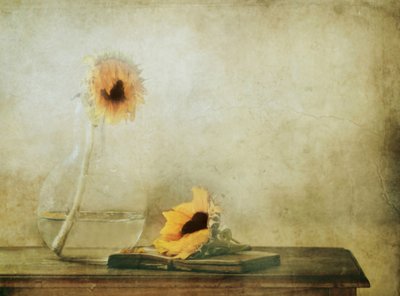 Quiet Autumn Sunflowers by Delphine Devos