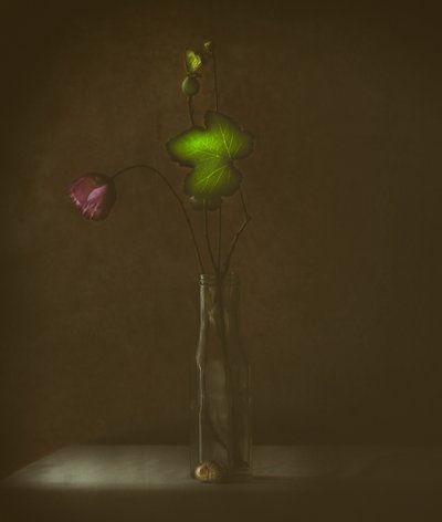 Quiet Bloom and Leaf by Delphine Devos