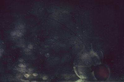 Rainy Window Still Life by Delphine Devos