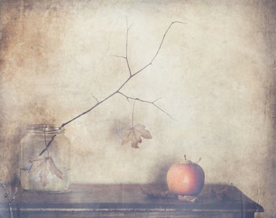 Rustic Autumn Still Life by Delphine Devos