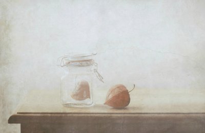 Rustic Love Still Life by Delphine Devos