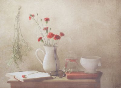 Soft Carnations Still Life by Delphine Devos