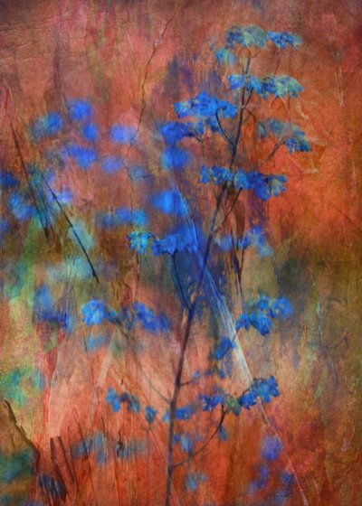Textured Blue Floral Dream by Delphine Devos