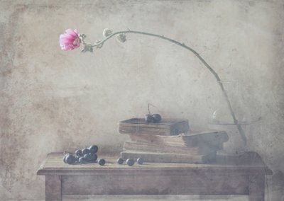 Vintage Books and Bloom by Delphine Devos