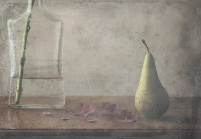 Vintage Pear Still Life by Delphine Devos