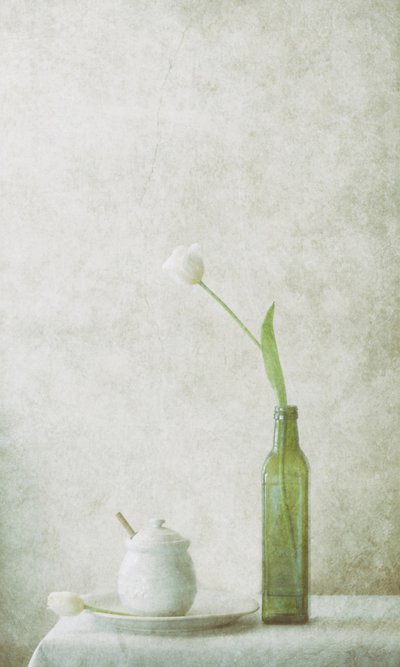 White Tulip Still Life by Delphine Devos