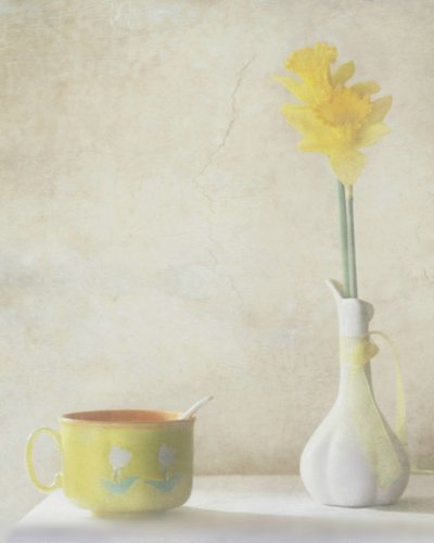 Yellow Daffodil Still Life by Delphine Devos