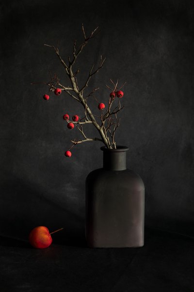 Crimson Berries Still Life by Dennis Zhang