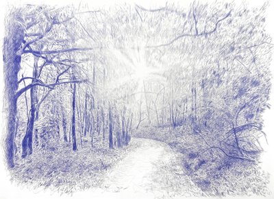 Forest in Backlight, 2023 by Diego Beyro