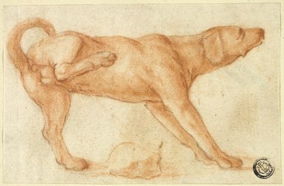 Dog Urinating on Rock by Dirk Valkenburg
