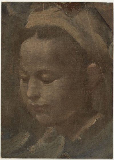 Head of a Young Woman by Domenico Beccafumi