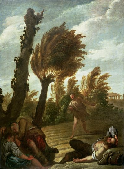 Parable of the Sower of Tares, c.1620-21 by Domenico Fetti or Feti