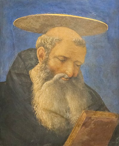 Head of a tonsured, bearded saint, c.1440-44 by Domenico Veneziano