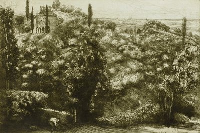 Evening Shadows by Donald Shaw MacLaughlan