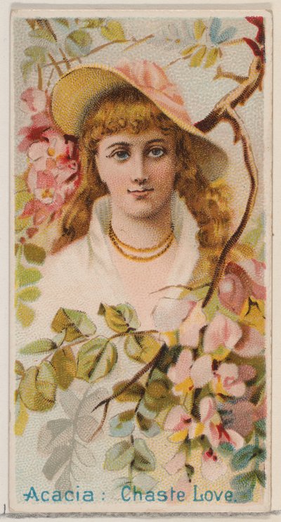 Acacia: Chaste Love, from the series Floral Beauties and Language of Flowers N75 for Duk..., 1892 by Donaldson Brothers