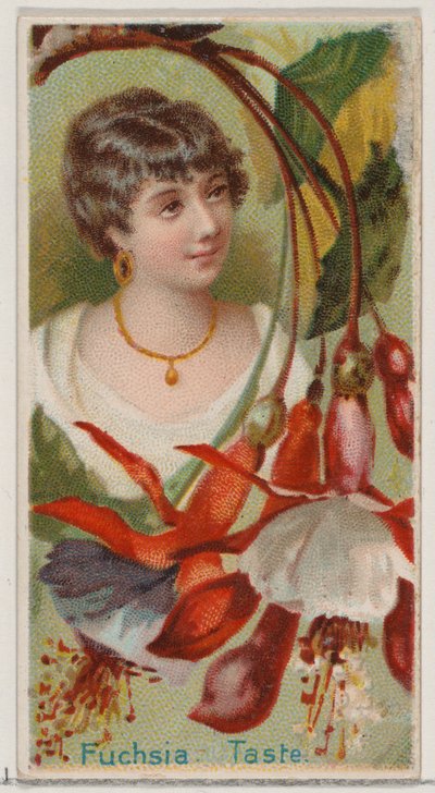 Fuchsia: Taste, from the series Floral Beauties and Language of Flowers N75 for Duke brand, 1892 by Donaldson Brothers
