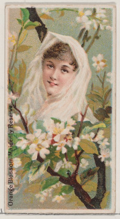 Orange Blossom: Maidenly Reserve, from the series Floral Beauties and Language of Flowers, 1892 by Donaldson Brothers