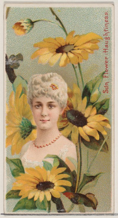 Sunflower: Haughtiness, from the series Floral Beauties and Language of Flowers N75 by Donaldson Brothers