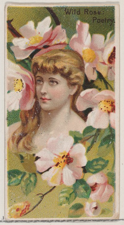 Wild Rose: Poetry, from the Series Floral Beauties and Language of Flowers by Donaldson Brothers