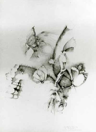 Butterflies or The Man Who Was Afraid of Butterflies by Donatella Merlo