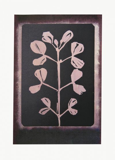 Dark Botanical Silhouette by Doris Schmitz