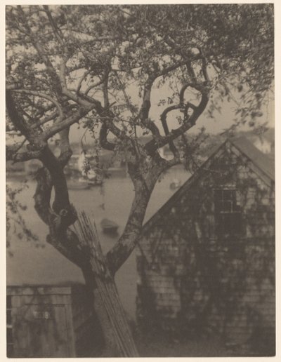 Harbor Scene, Probably Gloucester, Massachusetts by Doris Ulmann