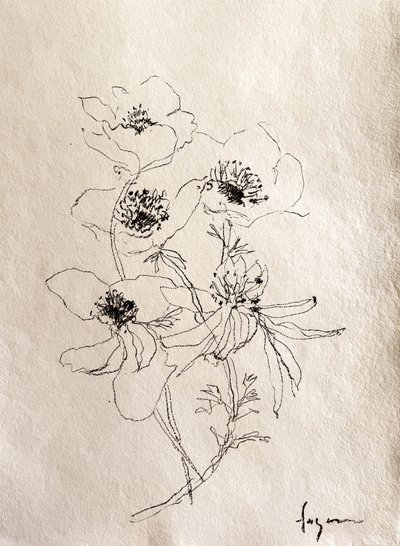 Delicate Floral Sketch by Dorothy Fagan