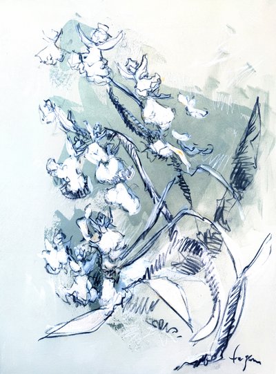 White Orchid Drawing by Dorothy Fagan