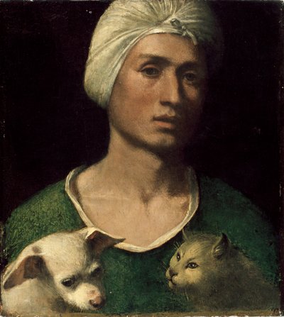 Portrait of a Young Man Holding a Dog and a Cat by Dosso Dossi