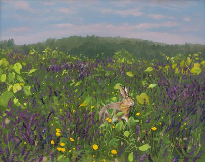 Hare in Vines and Vetch 2000 by Douglas Anderson