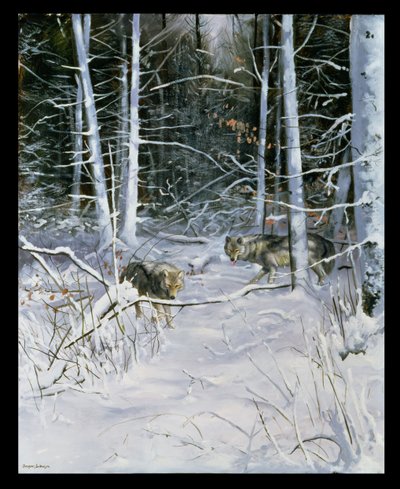 Wolves in a Snowy Forest by Douglas Anderson
