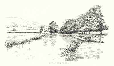 The Mole, near Dorking by Duncan Moul