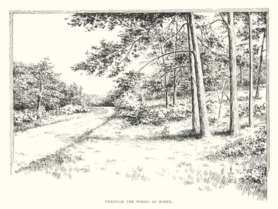 Through the woods at Esher by Duncan Moul