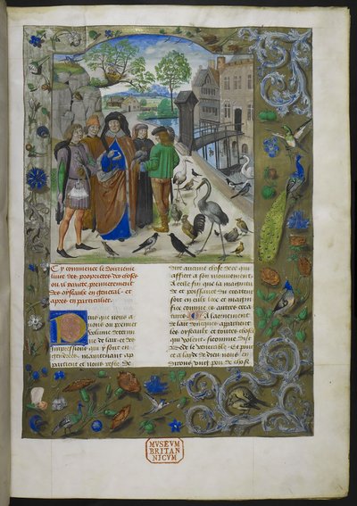 Bartholomaeus Angelicus, from De proprietatibus rerum in French by Dutch School