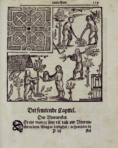 Planting trees, from The Dutch Gardener by Johann van der Groen, published 1699 by Dutch School
