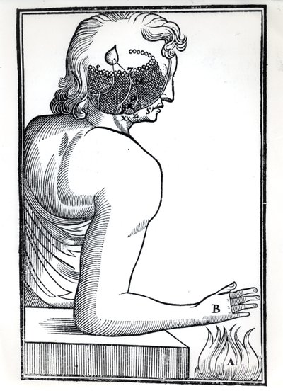 The Perception of the Senses, from De Homine Figuris by Rene Descartes (1596-1650) published in Amsterdam, 1677 by Dutch School
