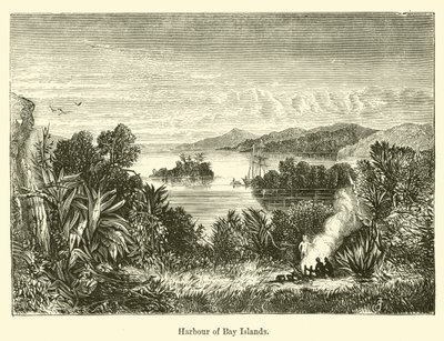Harbour of Bay Islands by E. Jennings