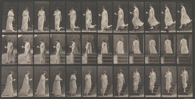 Animal Locomotion. An Electro-Photographic Investigation of Animal Movements by Eadweard Muybridge