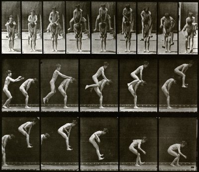 Animal Locomotion by Eadweard Muybridge